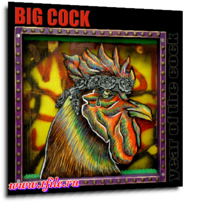 Big Cock -  