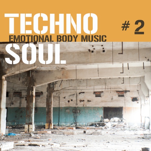 VA - Techno Soul #2-7 - Emotional Body Music 