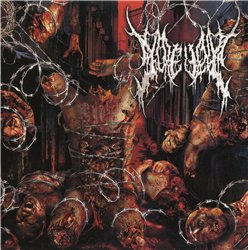 Gorevent - Discography 