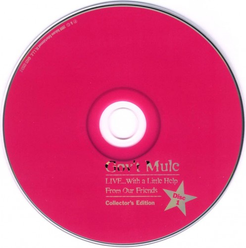 Gov't Mule - Live ... With a Little Help From Our Friends 