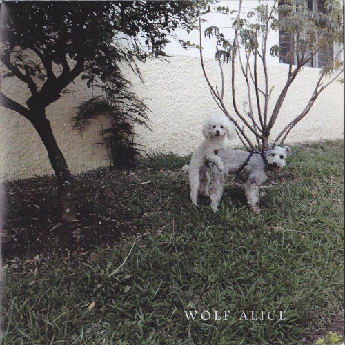 Wolf Alice - Discography 
