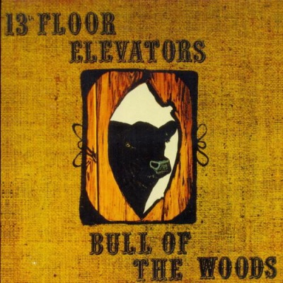 13th Floor Elevators - The Albums Collection 